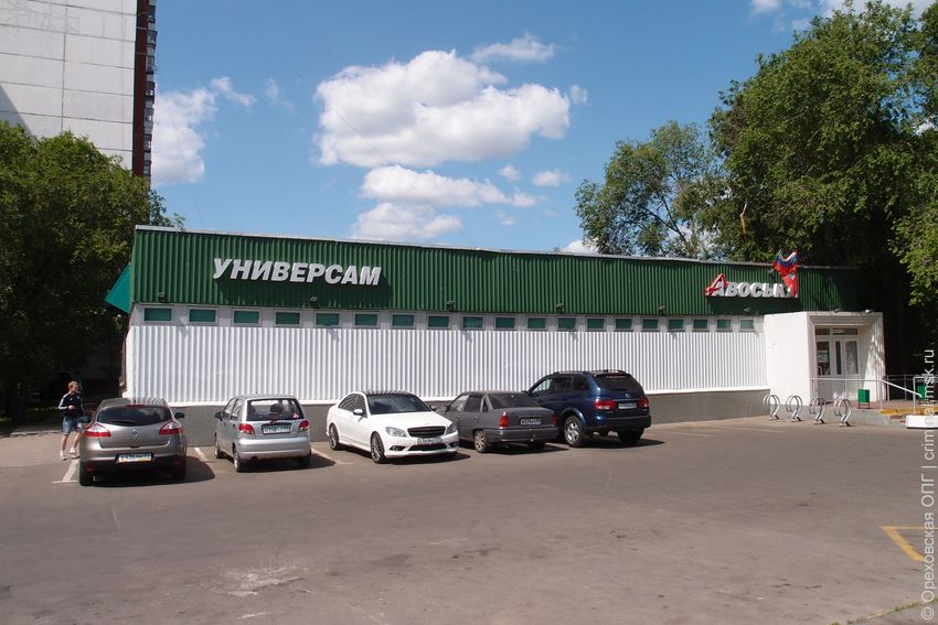 Кипарис